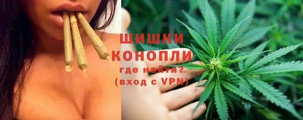 шишки Балахна