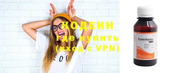 шишки Балахна