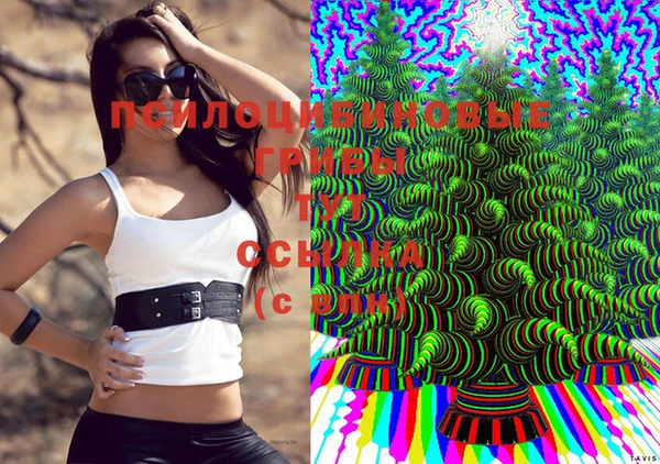 шишки Балахна