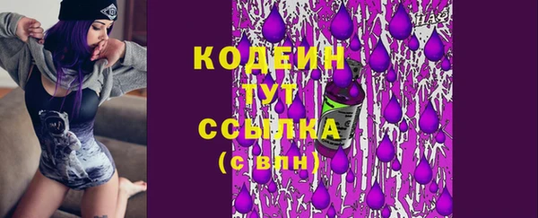 шишки Балахна