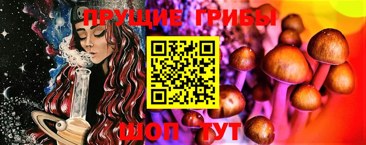 Каспийск  Псилоцибиновые грибы мухоморы  Вход с VPN 